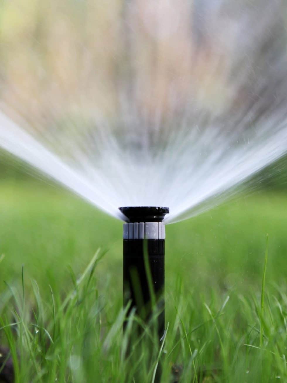 A lawn irrgiation sprinkler head spraying water