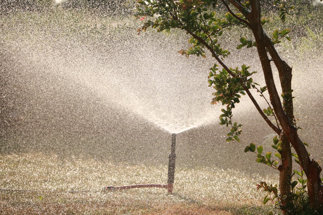 All About Lawn Sprinkler Systems