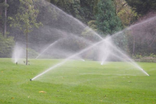 Lawn Irrigation Repairs & Maintenance