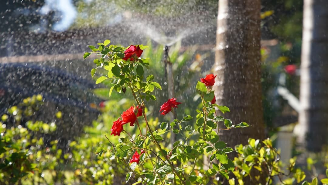 The Ultimate Guide to Garden Watering Solutions