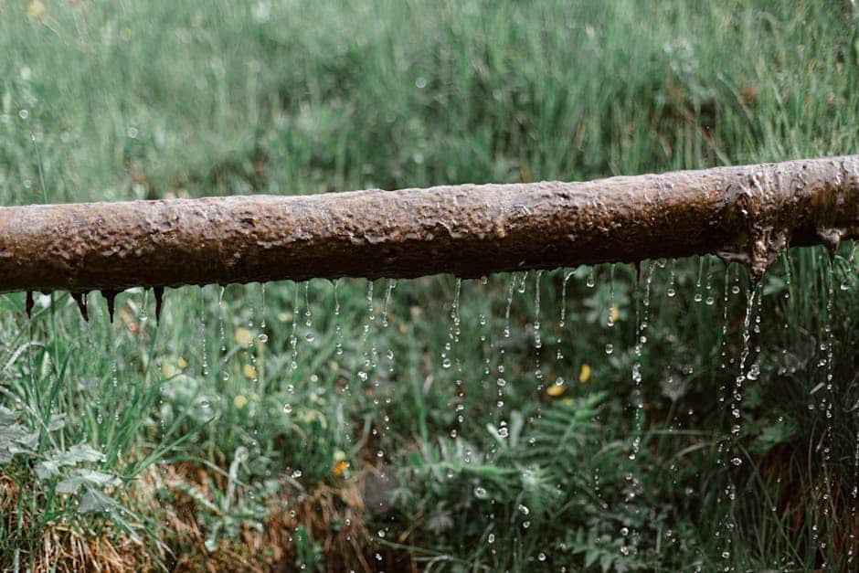 Stop the Drip! Your Guide to Irrigation Pipe Leak Repair