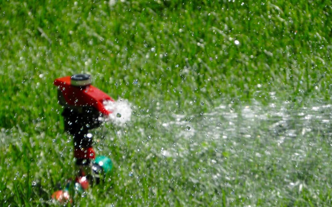 Water You Waiting For? Best Sprinkler Maintenance Companies Water You Waiting For? Best Sprinkler Maintenance Companies
