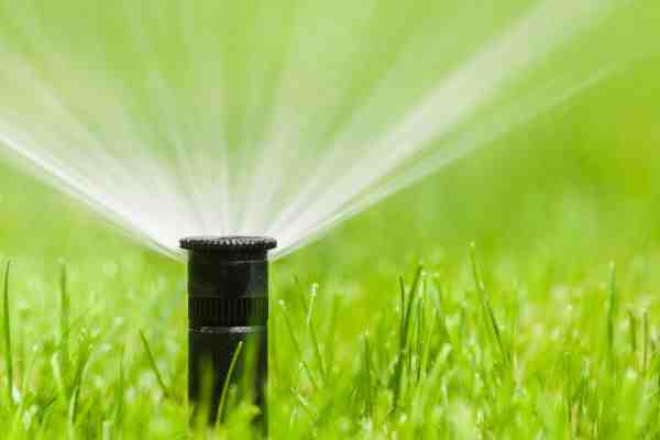 Sprinkler Savvy: Uncovering Cape Cod’s Premier Irrigation Services